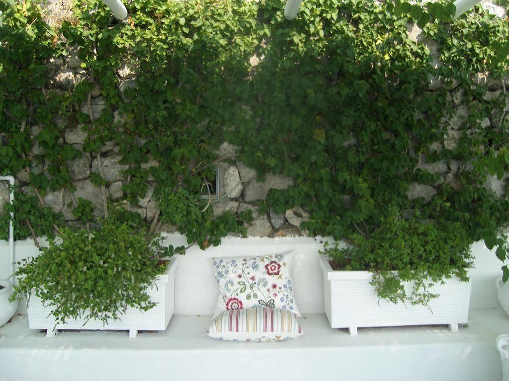 Le Fioriere Hotel 3*